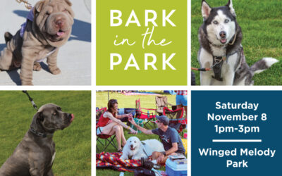 Bark in the Park